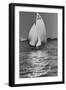 Yachting-null-Framed Premium Photographic Print