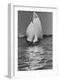 Yachting-null-Framed Premium Photographic Print