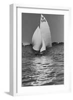 Yachting-null-Framed Photographic Print
