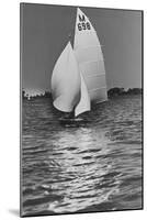 Yachting-null-Mounted Photographic Print