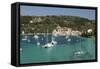 Yachts anchored in bay, Lakka, Paxos, Ionian Islands, Greek Islands, Greece, Europe-Stuart Black-Framed Stretched Canvas