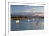 Yachts Anchored in Estuary, Mapua, Nelson Region, South Island, New Zealand, Pacific-Stuart Black-Framed Photographic Print