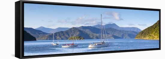 Yachts Anchored on the Idyllic Queen Charlotte Sound, Marlborough Sounds, South Island, New Zealand-Doug Pearson-Framed Stretched Canvas