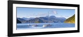 Yachts Anchored on the Idyllic Queen Charlotte Sound, Marlborough Sounds, South Island, New Zealand-Doug Pearson-Framed Photographic Print