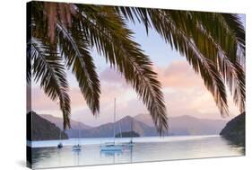 Yachts Anchored on the Idyllic Queen Charlotte Sound, Marlborough Sounds, South Island, New Zealand-Doug Pearson-Stretched Canvas