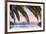 Yachts Anchored on the Idyllic Queen Charlotte Sound, Marlborough Sounds, South Island, New Zealand-Doug Pearson-Framed Photographic Print