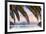 Yachts Anchored on the Idyllic Queen Charlotte Sound, Marlborough Sounds, South Island, New Zealand-Doug Pearson-Framed Photographic Print