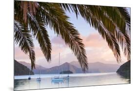 Yachts Anchored on the Idyllic Queen Charlotte Sound, Marlborough Sounds, South Island, New Zealand-Doug Pearson-Mounted Photographic Print