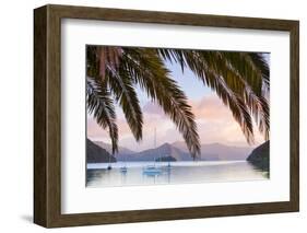 Yachts Anchored on the Idyllic Queen Charlotte Sound, Marlborough Sounds, South Island, New Zealand-Doug Pearson-Framed Photographic Print