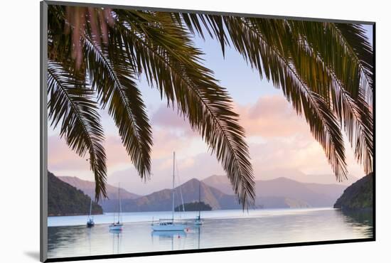 Yachts Anchored on the Idyllic Queen Charlotte Sound, Marlborough Sounds, South Island, New Zealand-Doug Pearson-Mounted Photographic Print