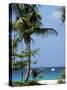 Yachts and Palms, Barbados, West Indies, Caribbean, Central America-J Lightfoot-Stretched Canvas