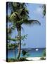 Yachts and Palms, Barbados, West Indies, Caribbean, Central America-J Lightfoot-Stretched Canvas