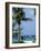 Yachts and Palms, Barbados, West Indies, Caribbean, Central America-J Lightfoot-Framed Photographic Print