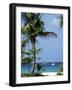 Yachts and Palms, Barbados, West Indies, Caribbean, Central America-J Lightfoot-Framed Photographic Print