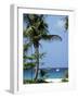 Yachts and Palms, Barbados, West Indies, Caribbean, Central America-J Lightfoot-Framed Photographic Print