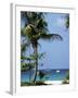 Yachts and Palms, Barbados, West Indies, Caribbean, Central America-J Lightfoot-Framed Photographic Print