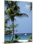 Yachts and Palms, Barbados, West Indies, Caribbean, Central America-J Lightfoot-Mounted Photographic Print