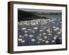 Yachts at Anchorage, Falmouth, Cornwall, England, United Kingdom-Ken Gillham-Framed Photographic Print