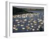 Yachts at Anchorage, Falmouth, Cornwall, England, United Kingdom-Ken Gillham-Framed Photographic Print