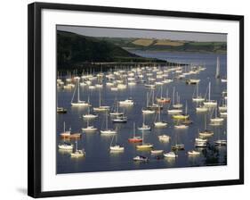 Yachts at Anchorage, Falmouth, Cornwall, England, United Kingdom-Ken Gillham-Framed Photographic Print