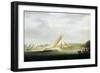 Yachts from the Cumberland Society Race, on the Thames (England), circa 1815, Ancestor of the Royal-William Havell-Framed Giclee Print