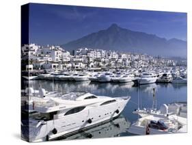 Yachts in Harbour, Puerto Banus, Marbella, Andalucia, Spain-Gavin Hellier-Stretched Canvas