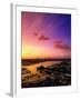 Yachts in Marina at Sunset, Ft. Lauderdale, FL-Walter Bibikow-Framed Premium Photographic Print