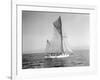 Yachts-Lipton Cup Races, Gwendolin, 1914-Asahel Curtis-Framed Giclee Print