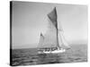 Yachts-Lipton Cup Races, Gwendolin, 1914-Asahel Curtis-Stretched Canvas