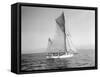 Yachts-Lipton Cup Races, Gwendolin, 1914-Asahel Curtis-Framed Stretched Canvas