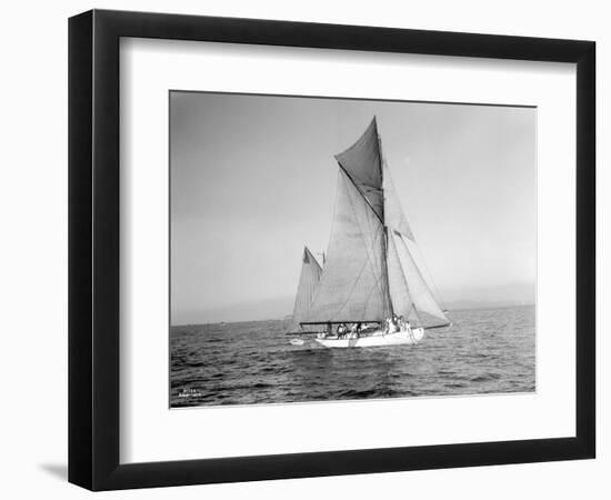 Yachts-Lipton Cup Races, Gwendolin, 1914-Asahel Curtis-Framed Premium Giclee Print