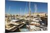 Yachts moored at the Quai de Bernonville in this north coast town, Saint Martin de Re, Ile de Re, C-Robert Francis-Mounted Photographic Print