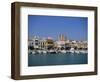 Yachts Moored in Harbour, Aegina Town, Aegina, Saronic Islands, Greek Islands, Greece, Europe-Lightfoot Jeremy-Framed Photographic Print