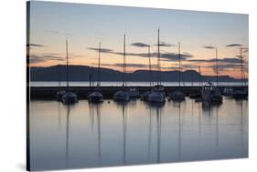 Yachts moored in The Cobb with Jurassic Coast and Golden Cap at sunrise, Lyme Regis, Dorset, Englan-Stuart Black-Stretched Canvas