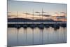 Yachts moored in The Cobb with Jurassic Coast and Golden Cap at sunrise, Lyme Regis, Dorset, Englan-Stuart Black-Mounted Photographic Print