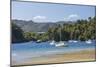 Yachts moored in the sheltered harbour, Ngakuta Bay, near Picton, Marlborough, South Island, New Ze-Ruth Tomlinson-Mounted Photographic Print