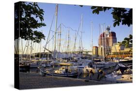 Yachts Moored Near the Uitken Lookout, Gothenburg, Sweden, Scandinavia, Europe-Frank Fell-Stretched Canvas