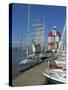 Yachts Moored Near the Uitken Lookout in Gothenburg, Goteborg Harbour, Sweden, Scandinavia-Neale Clarke-Stretched Canvas