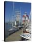 Yachts Moored Near the Uitken Lookout in Gothenburg, Goteborg Harbour, Sweden, Scandinavia-Neale Clarke-Stretched Canvas