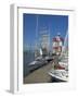 Yachts Moored Near the Uitken Lookout in Gothenburg, Goteborg Harbour, Sweden, Scandinavia-Neale Clarke-Framed Photographic Print