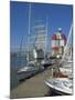 Yachts Moored Near the Uitken Lookout in Gothenburg, Goteborg Harbour, Sweden, Scandinavia-Neale Clarke-Mounted Photographic Print