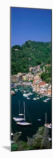 Yachts on Italian Riviera Italy-null-Mounted Photographic Print