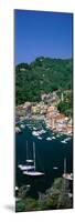 Yachts on Italian Riviera Italy-null-Mounted Photographic Print