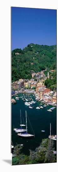 Yachts on Italian Riviera Italy-null-Mounted Photographic Print