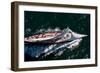 Yachts Sailing in Newport Bucket Regatta, Newport, Rhode Island, USA-null-Framed Photographic Print