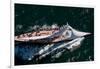 Yachts Sailing in Newport Bucket Regatta, Newport, Rhode Island, USA-null-Framed Photographic Print