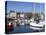 Yachts, the Barbican, Plymouth, Devon, England, United Kingdom, Europe-Jeremy Lightfoot-Stretched Canvas