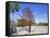 Yad Vashem Holocaust Memorial, Partisans Panorama Memorial Tree, Mount Herzl, Jerusalem, Israel-Gavin Hellier-Framed Stretched Canvas