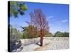 Yad Vashem Holocaust Memorial, Partisans Panorama Memorial Tree, Mount Herzl, Jerusalem, Israel-Gavin Hellier-Stretched Canvas