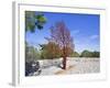 Yad Vashem Holocaust Memorial, Partisans Panorama Memorial Tree, Mount Herzl, Jerusalem, Israel-Gavin Hellier-Framed Photographic Print